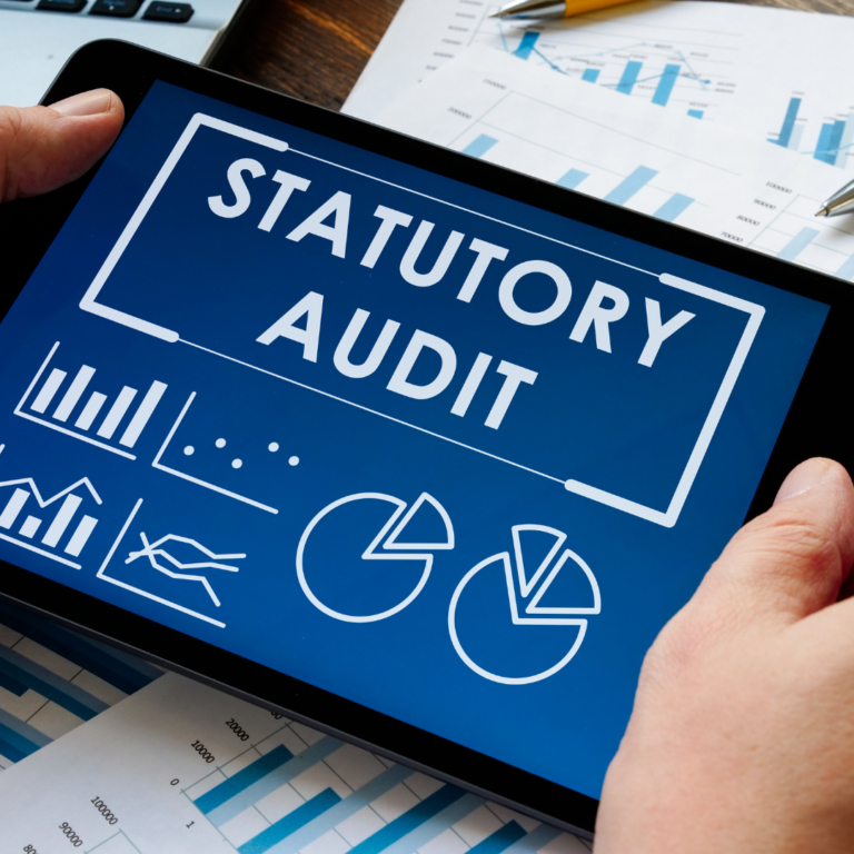 Statutory Audits